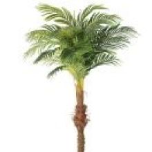 Palmboom 210 cm