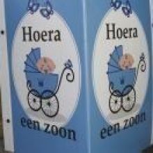 Raambord Zoon huren